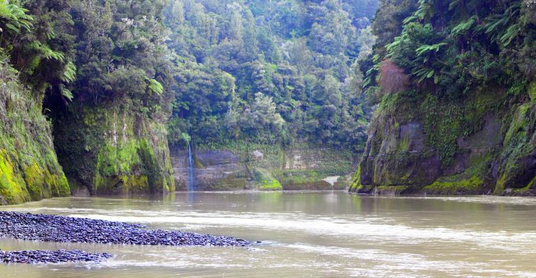 The image shows a New Zealand waterway with a small waterfall in the distance.