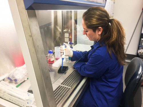 Hero image Sophie in tissue culture lab