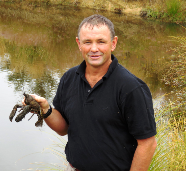 A man stands in front of a forestry pond holding an adult freshwater kōura