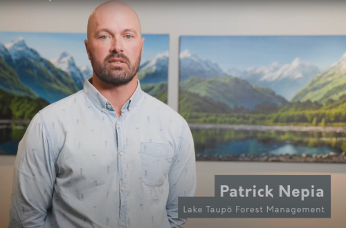 A man in a light blue shirt stands in front of a mural of New Zealand scenery