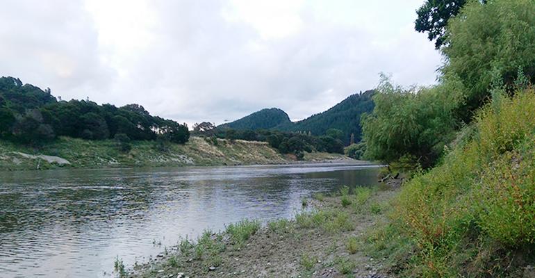 Hero image for project Wanganui River IMAG2113 LR 770x400